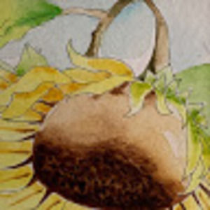 Meet your Posher, New york life #